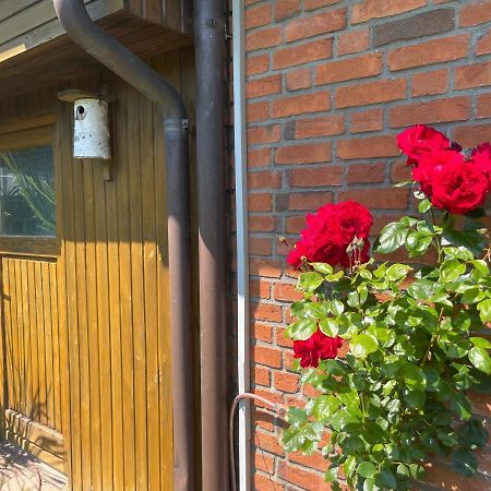 Urlaub Zwischen Den Meeren Daire Schafflund Dış mekan fotoğraf